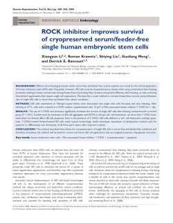ROCK inhibitor improves survival of