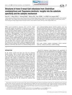 Structures of trans-2-enoyl-CoA reductases from Clostridium