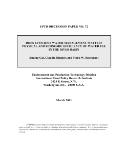 Does Efficient Water Management Matter? Physical and Economic