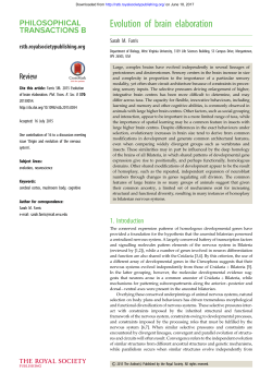 Evolution of brain elaboration - Philosophical Transactions of the