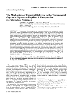 The mechanism of chemical delivery to the vomeronasal organs in