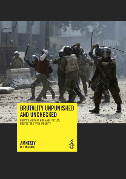 brutality unpunished and unchecked