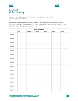 Color Survey - Digital Media Arts