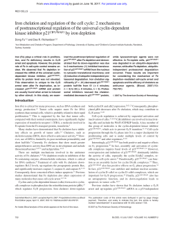 Iron chelation and regulation of the cell cycle: 2