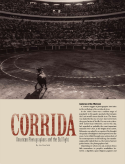 Bullfight - Jim Cornfield