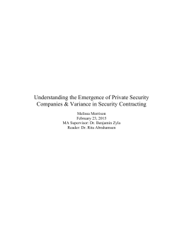 Understanding the Emergence of Private Security