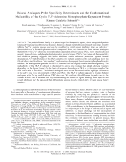 Balanol Analogues Probe Specificity Determinants and the