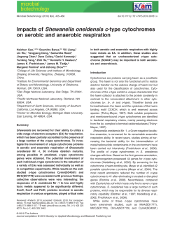 Impacts of Shewanella oneidensis ctype cytochromes on aerobic