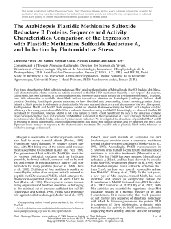 The Arabidopsis Plastidic Methionine Sulfoxide