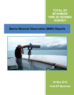 Marine Mammal Observation Report
