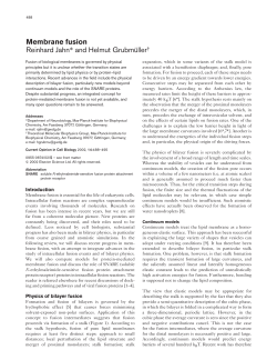 Membrane fusion Reinhard Jahn* and Helmut Grubm&uuml;ller