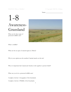 Awareness- Grassland