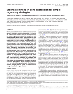Stochastic timing in gene expression for simple