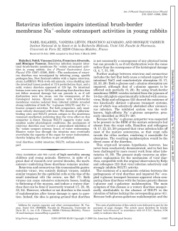 Rotavirus infection impairs intestinal brush