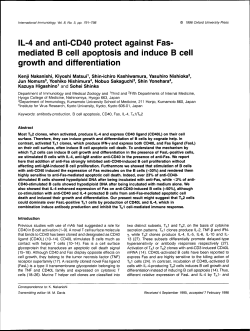 IL-4 and anti-CD40 protect against Fas