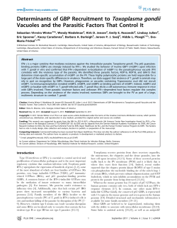 Determinants of GBP Recruitment to Toxoplasma gondii Vacuoles