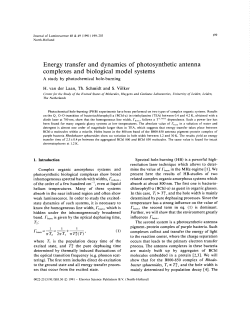 Energy transfer and dynamics of photosynthetic antenna complexes