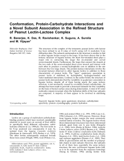 Conformation, Protein-Carbohydrate Interactions and a Novel