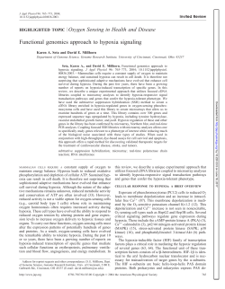 Full PDF - American Journal of Physiology