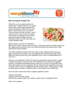 Did You Know: Protein 101
