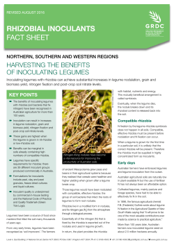 Fact Sheet: Rhizobial inoculants - School of Agriculture, Food and