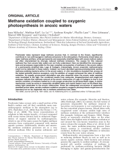Methane oxidation coupled to oxygenic photosynthesis in