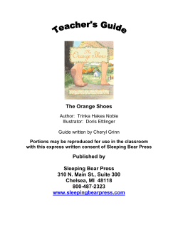 The Orange Shoes: A Teacher`s Guide