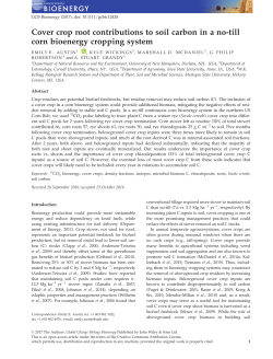 Cover crop root contributions to soil carbon in a no
