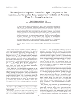 Discrete Quantity Judgments in the Great Apes