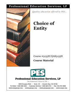 Choice of Entity - Professional Education Services