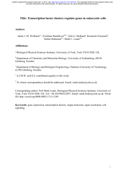 Transcription factor clusters regulate genes in eukaryotic cells