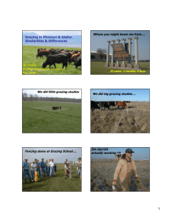 MiG on Pasture and Range