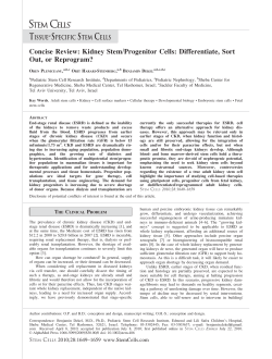 Concise Review: Kidney Stem/Progenitor Cells: Differentiate, Sort