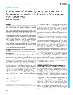 IP3R-mediated Ca2+ release regulates protein metabolism in