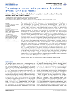 The ecological controls on the prevalence of candidate division TM7