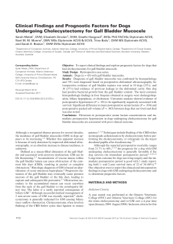 Clinical Findings and Prognostic Factors for Dogs