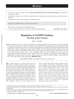 Regulation of NADPH Oxidases