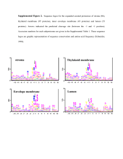 Thylakoid membrane Envelope membrane Lumen stroma
