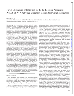 Novel Mechanism of Inhibition by the P2 Receptor Antagonist