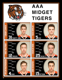 aaa midget tigers - RAMP Interactive
