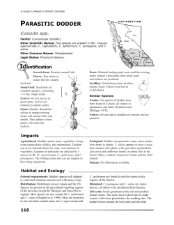 GTWIBC 1/5 Prelims v4-6 - Province of British Columbia