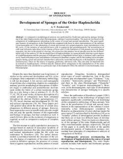 Development of Sponges of the Order Haplosclerida
