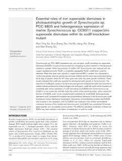 Essential roles of iron superoxide dismutase in photoautotrophic
