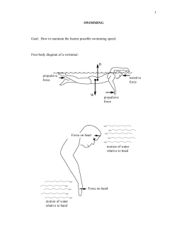 1 SWIMMING Goal: How to maintain the fastest possible swimming