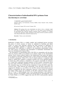 Characterization of mitochondrial DNA primase from