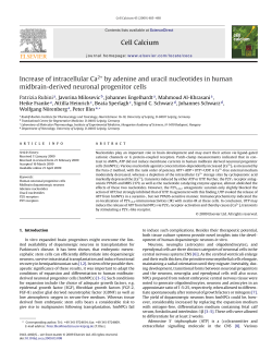 Cell Calcium Increase of intracellular Ca2+ by adenine and uracil