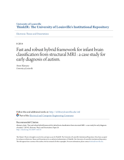 Fast and robust hybrid framework for infant brain classification from