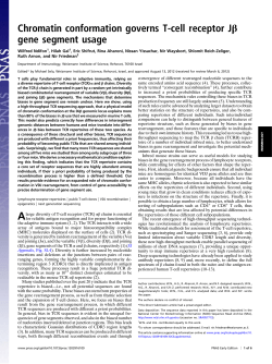 Chromatin conformation governs T-cell receptor J&beta; gene segment