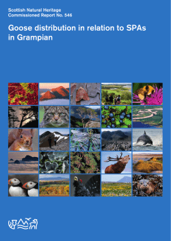 Goose distribution in relation to SPAs in Grampian