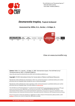 assessment